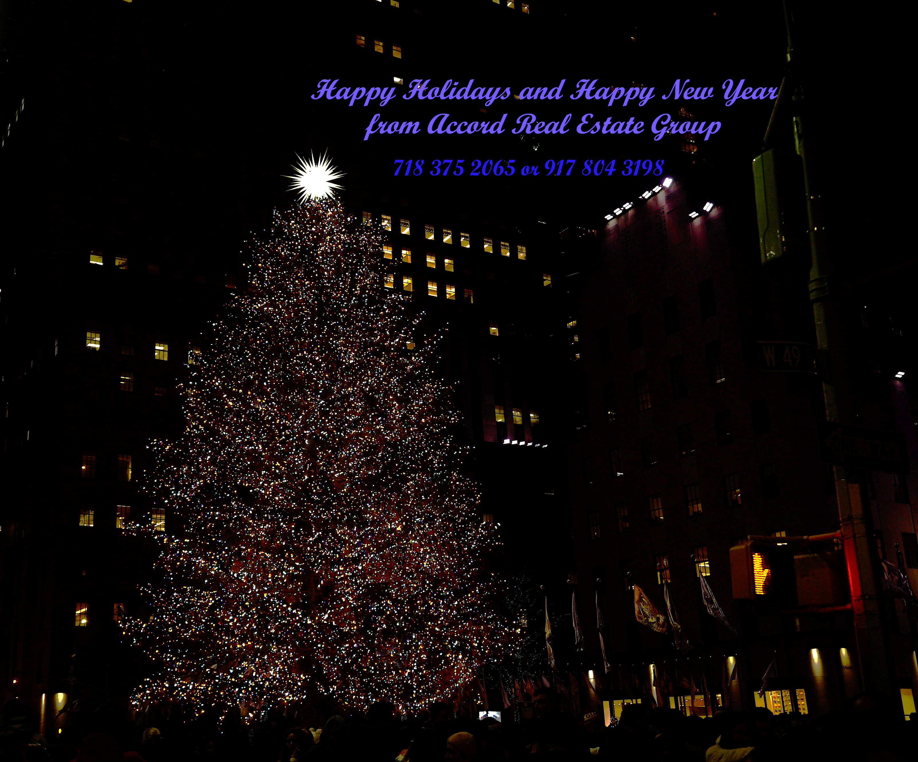 Happy Holidays & Happy New Year-2025